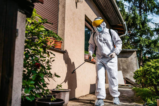 Best Residential Pest Control  in Van Horn, TX