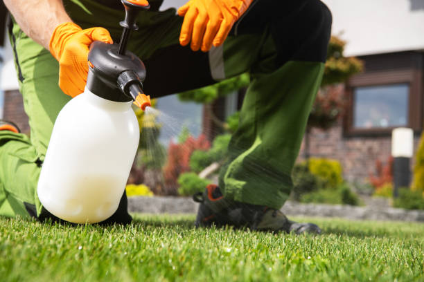 Best Pest Control for Homes  in Van Horn, TX