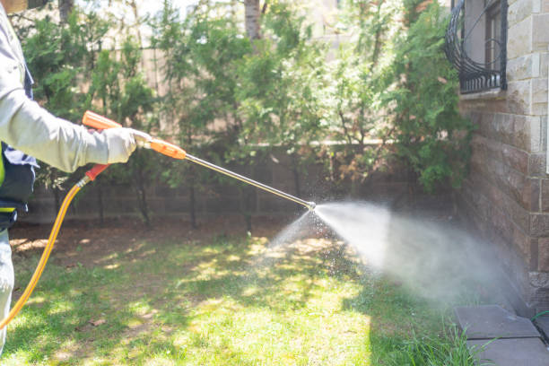 Best Pest Control Treatment  in Van Horn, TX